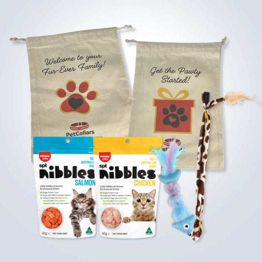 Signature Gift Set for Cats with treats, toys and gift bag