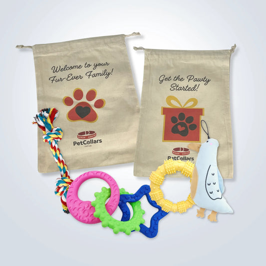 Signature Gift Set for Small Dogs