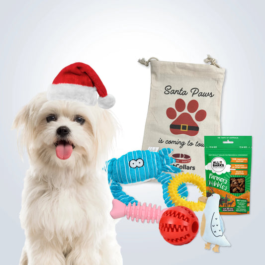 Christmas Deluxe Gift Set for Small Dogs with treats, toys and Christmas gift bag