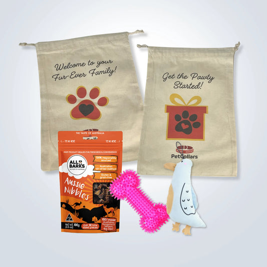 Essentials Gift Set for Medium Dogs with toys, treats and gift bag