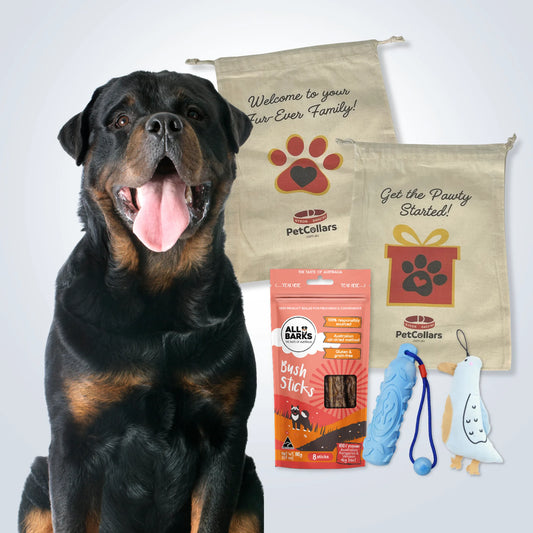 Essentials Gift Set for Large Dogs with toys, treats and gift bag