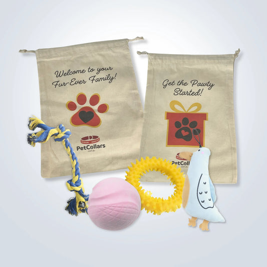Signature Gift Set for Small Dogs
