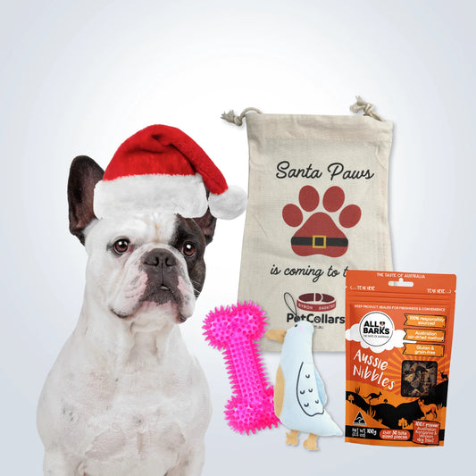 Christmas Stocking Filler Gift Set for Medium Dogs with toys, treats and festive gift bag