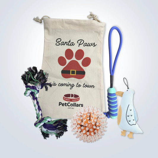 Christmas Signature Gift Set for Large Dogs with toys and festive gift bag